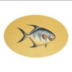 Tovaglietta ovale 52x34,5 cm pesce gialla