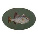 Tovaglietta ovale 52x34,5 cm pesce verde